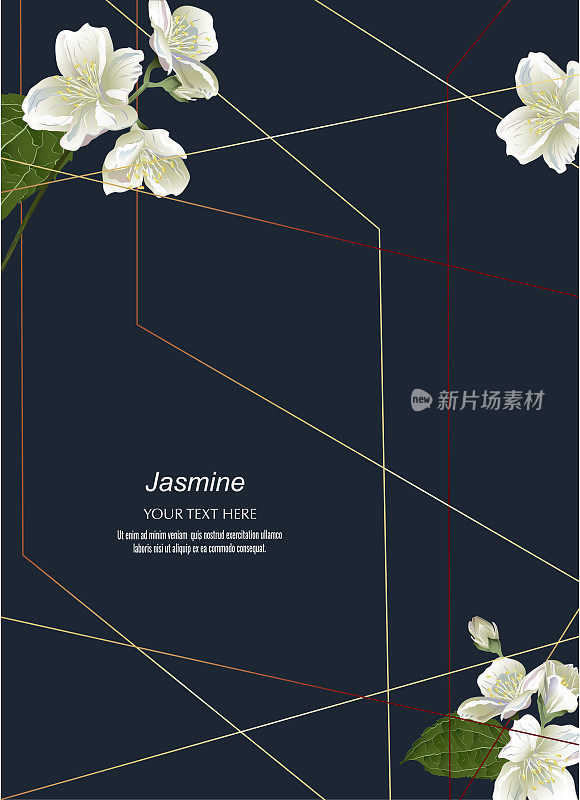 Jasmine flowers in golden polygon geometric cube